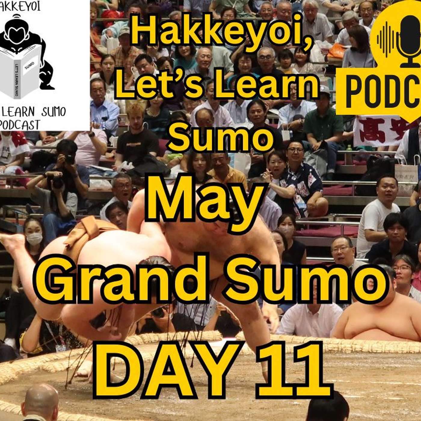 Day 11 May Grand Sumo Tournament episode artwork