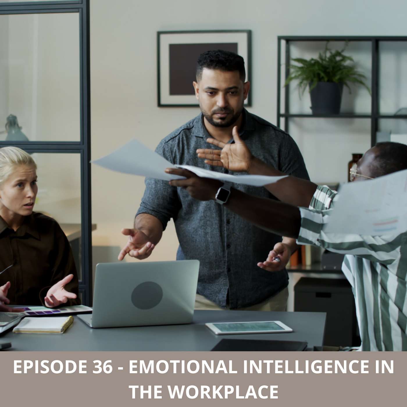 Episode 36 - Emotional Intelligence in the Workplace