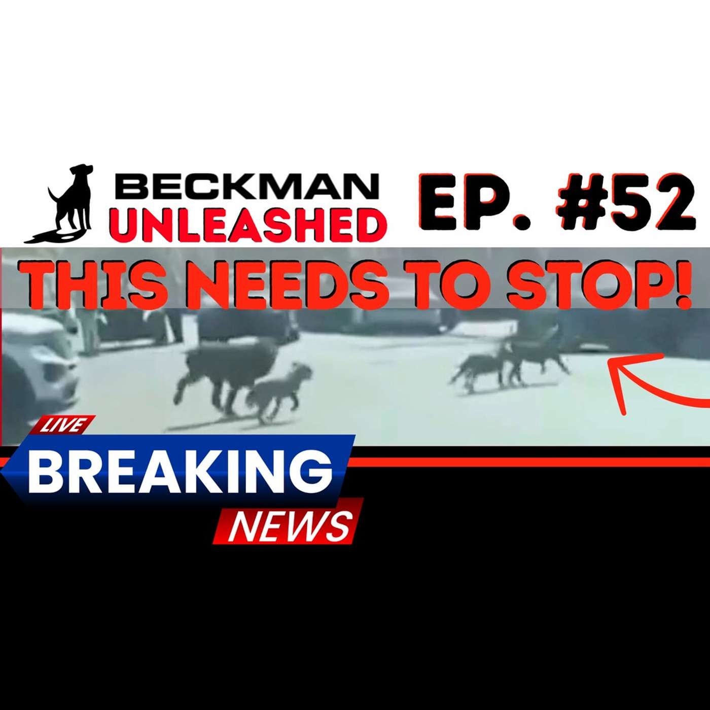 Ep. 52 - Pack of Dogs Attack Man in Philly, Officer has to take out Cane Corse - We can do better than this!!