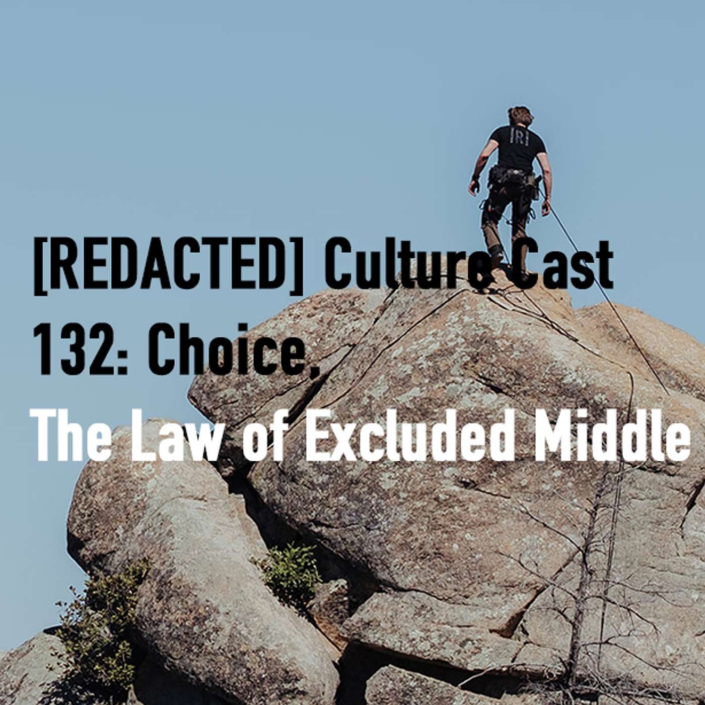 132: Choice and The Law of Excluded Middle
