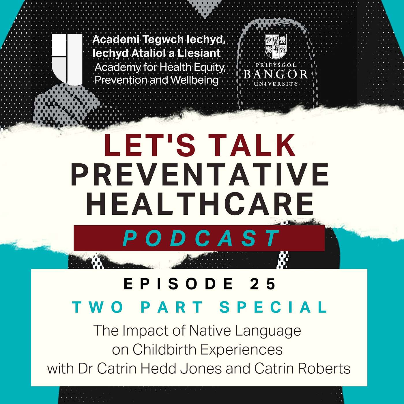 Episode 25 - The Impact of Native Language on Childbirth Experiences with Dr Catrin Hedd Jones and Catrin Roberts - Part 1 - English