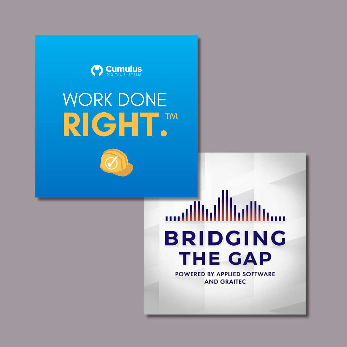 Get Your Team On The Same Page With These Tactics | Bridging the Gap x Work Done Right™ episode artwork