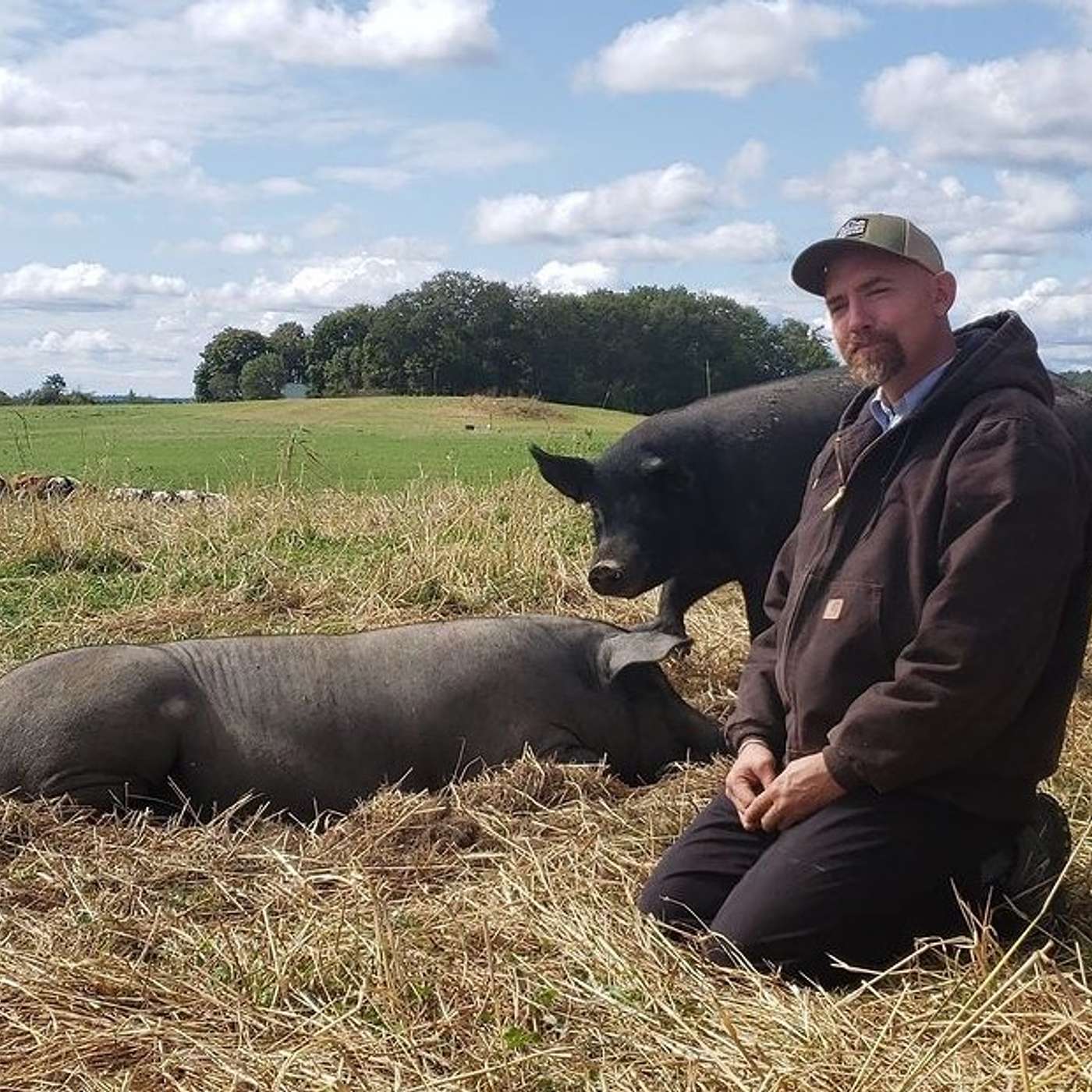 133 John Arbuckle on the role of pigs in regenerative ag and why we have to build brands