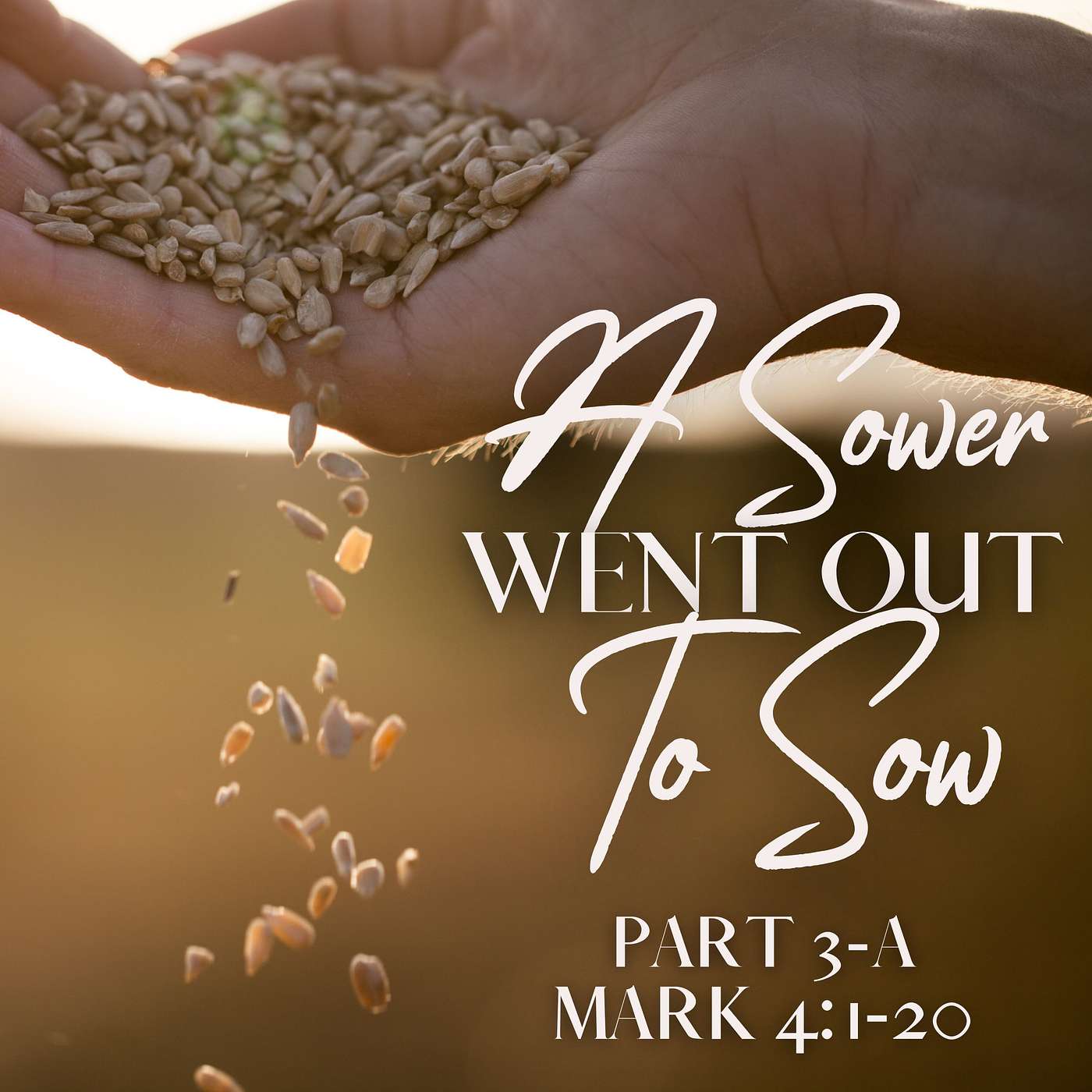 A Sower Went Out To Sow, Part 3a; Mark 4:1-20