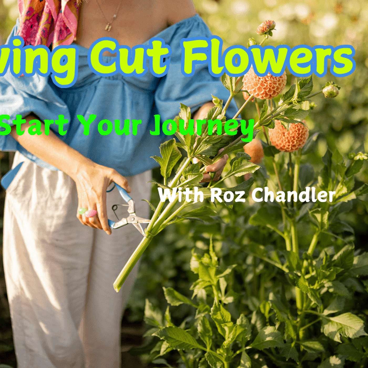 Growing Cut Flowers With Roz Chandler