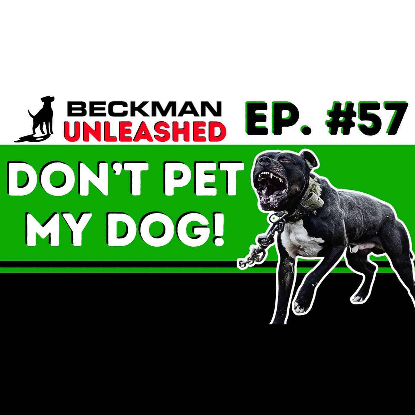 Beckman Unleashed - Only Common Sense can Stop Dog Bites - Learn the 3 Rules to keep everyone Safe