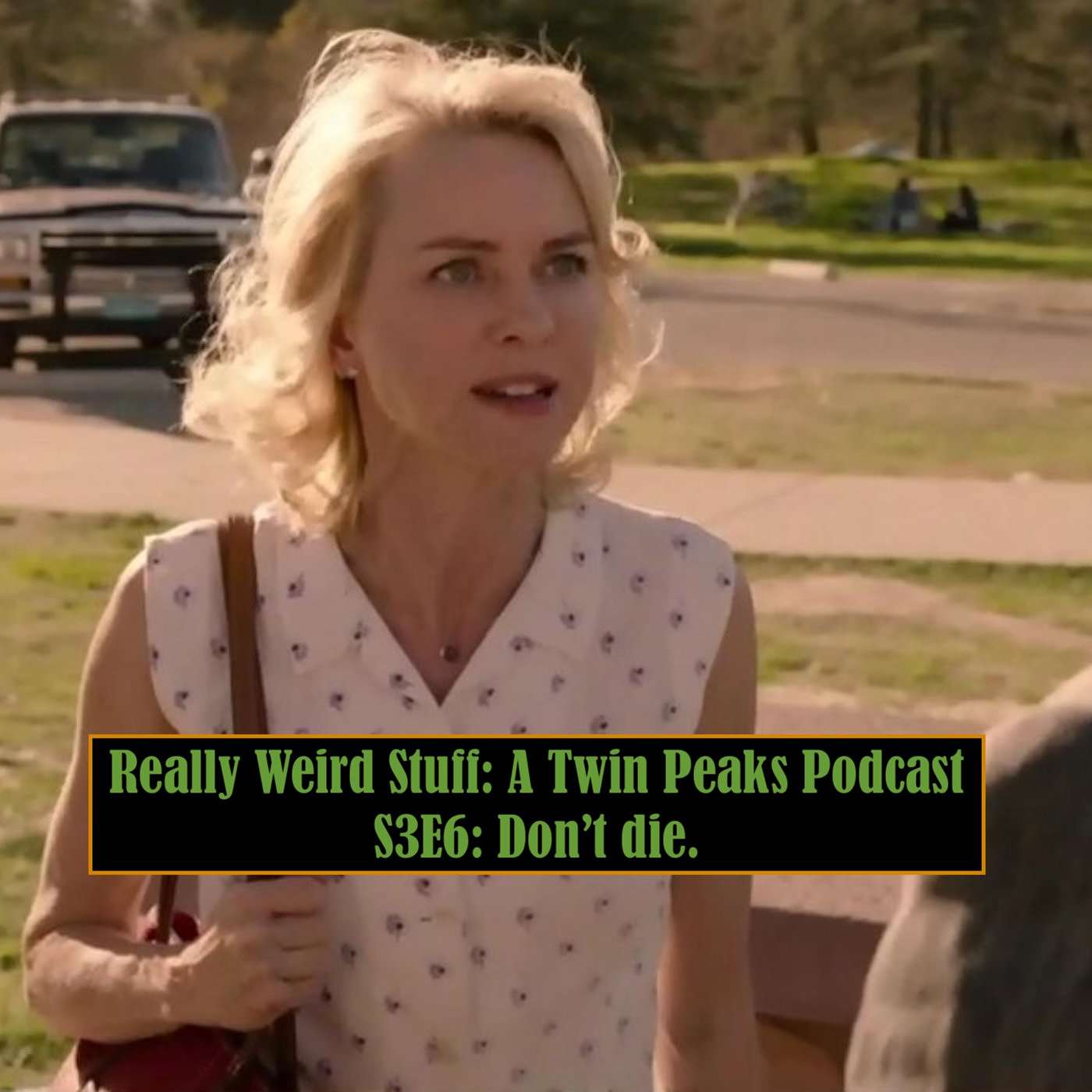 Really Weird Stuff: A Twin Peaks Podcast