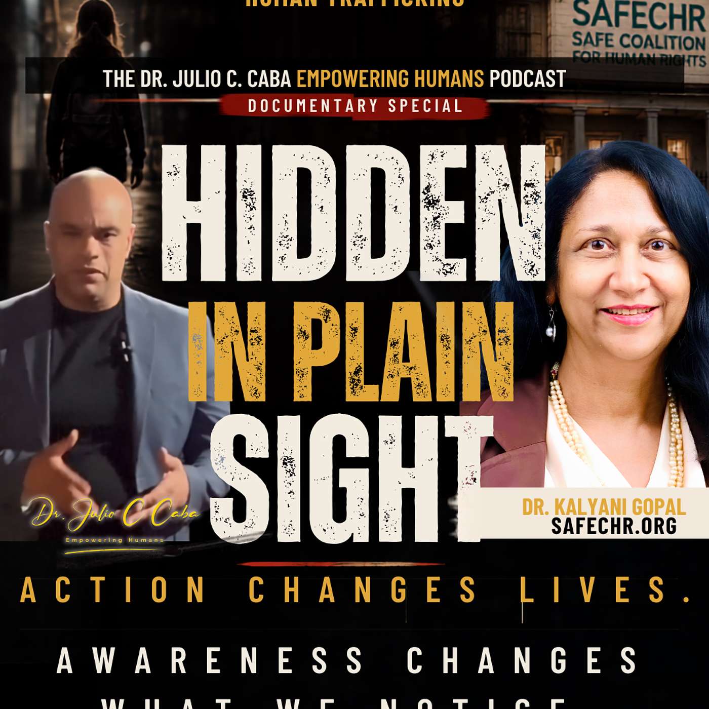 Hidden in Plain Sight: The Reality of Human Trafficking | Dr. Kalyani Gopal episode artwork