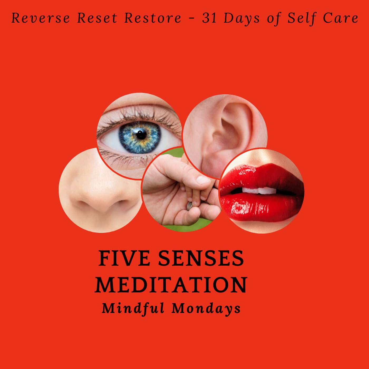 Day 23 - 5 Senses Meditation - 31 Days of Self Care Program episode artwork
