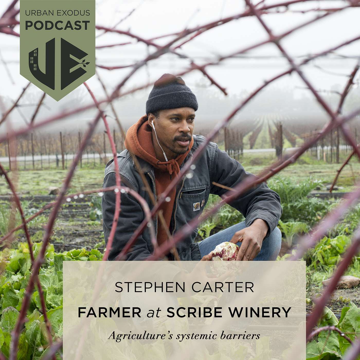 E3: Fine dining to the fields, a journey from Chez Panisse to farming | Stephen Carter of Scribe Winery in Sonoma, CA | episode artwork