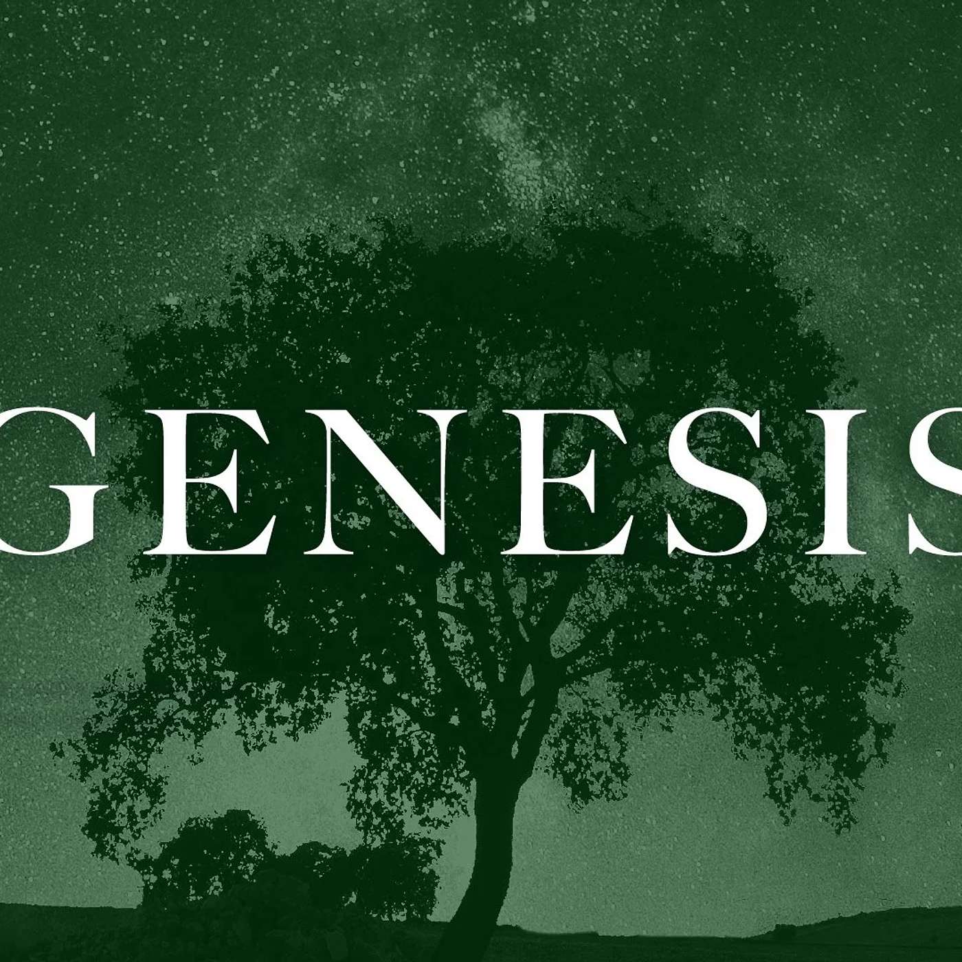 Genesis 3:1-9 | The Fall