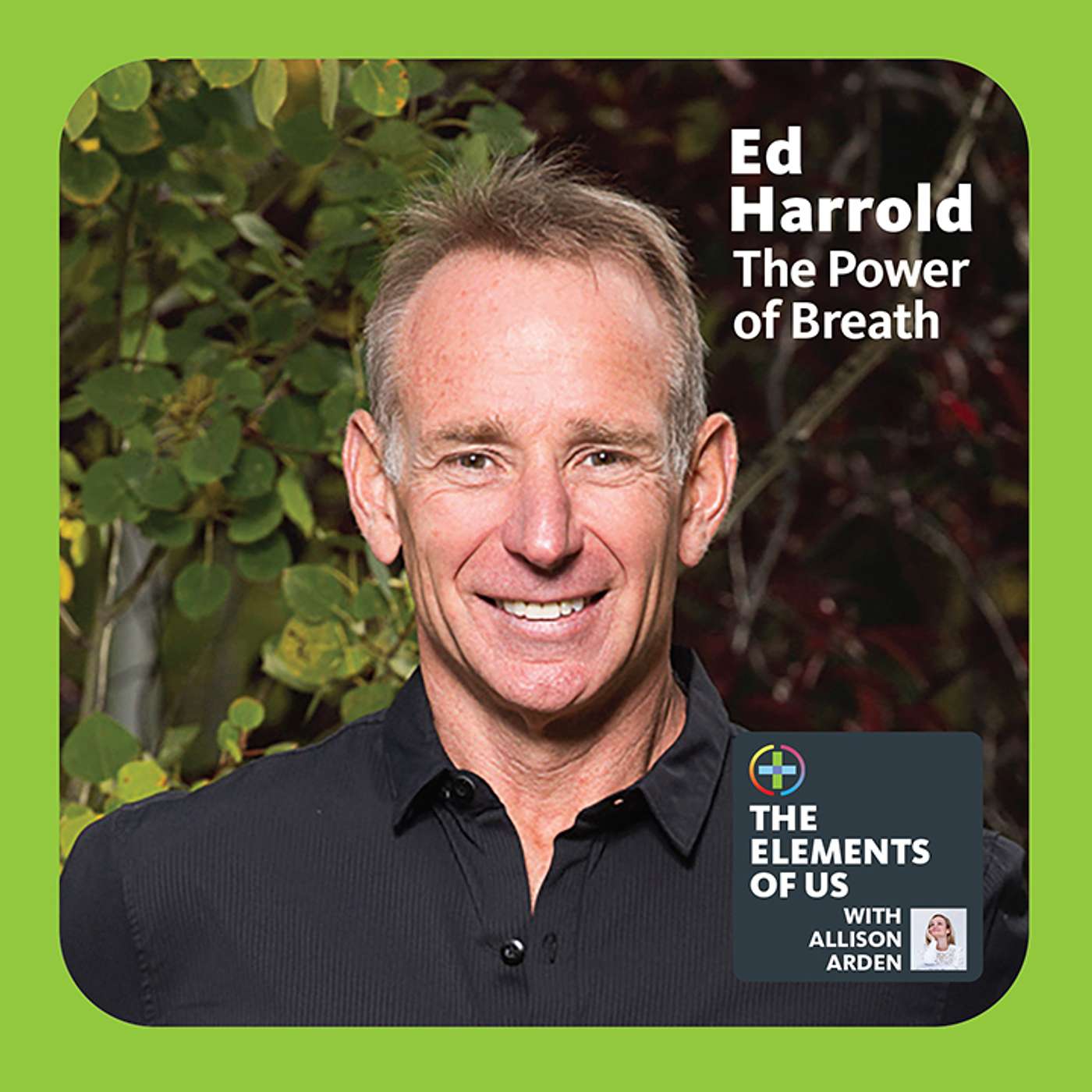 Ed Harrold - The Power of Breath