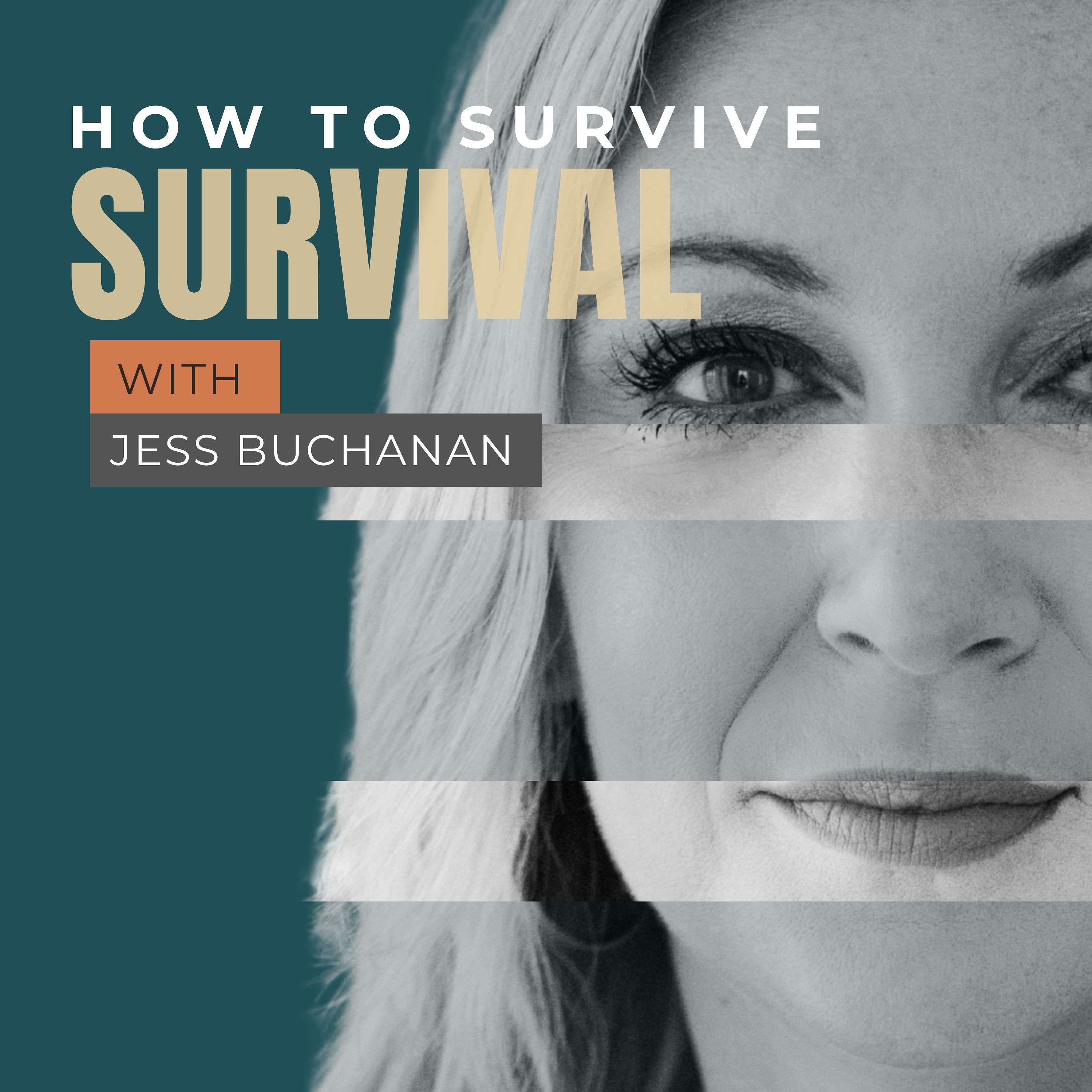 How To Survive Survival cover art
