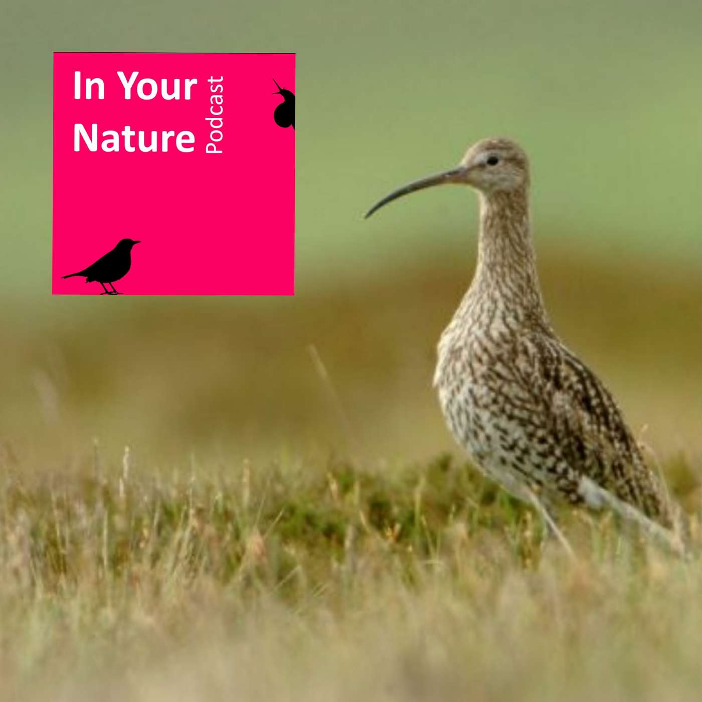 In Your Nature
