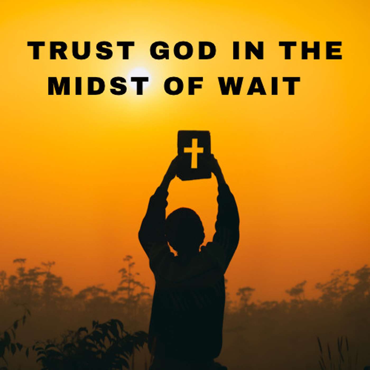 Trusting God in the Midst of Wait episode artwork