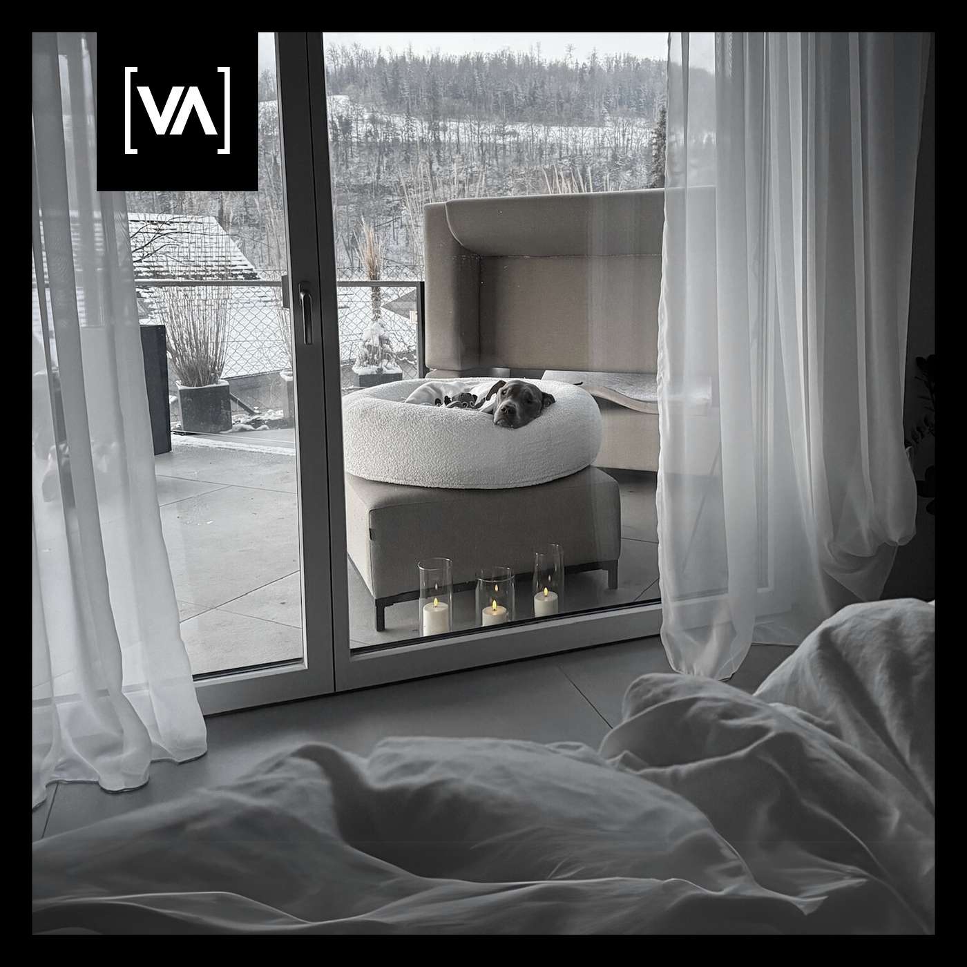 Vito blieb nach seinem Tod bei uns Zuhause – Unser Abschied übers Wochenende - Episode 5