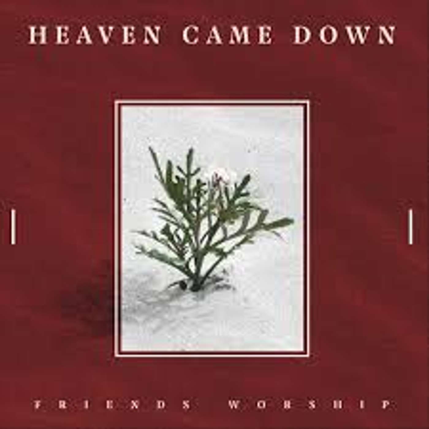 ADVENT READING DAY 5