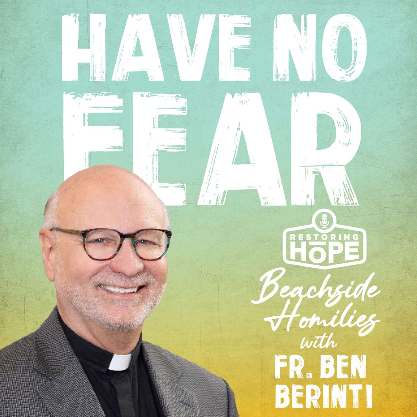 Have No Fear - Beachside Homily with Fr. Ben Berinti episode artwork