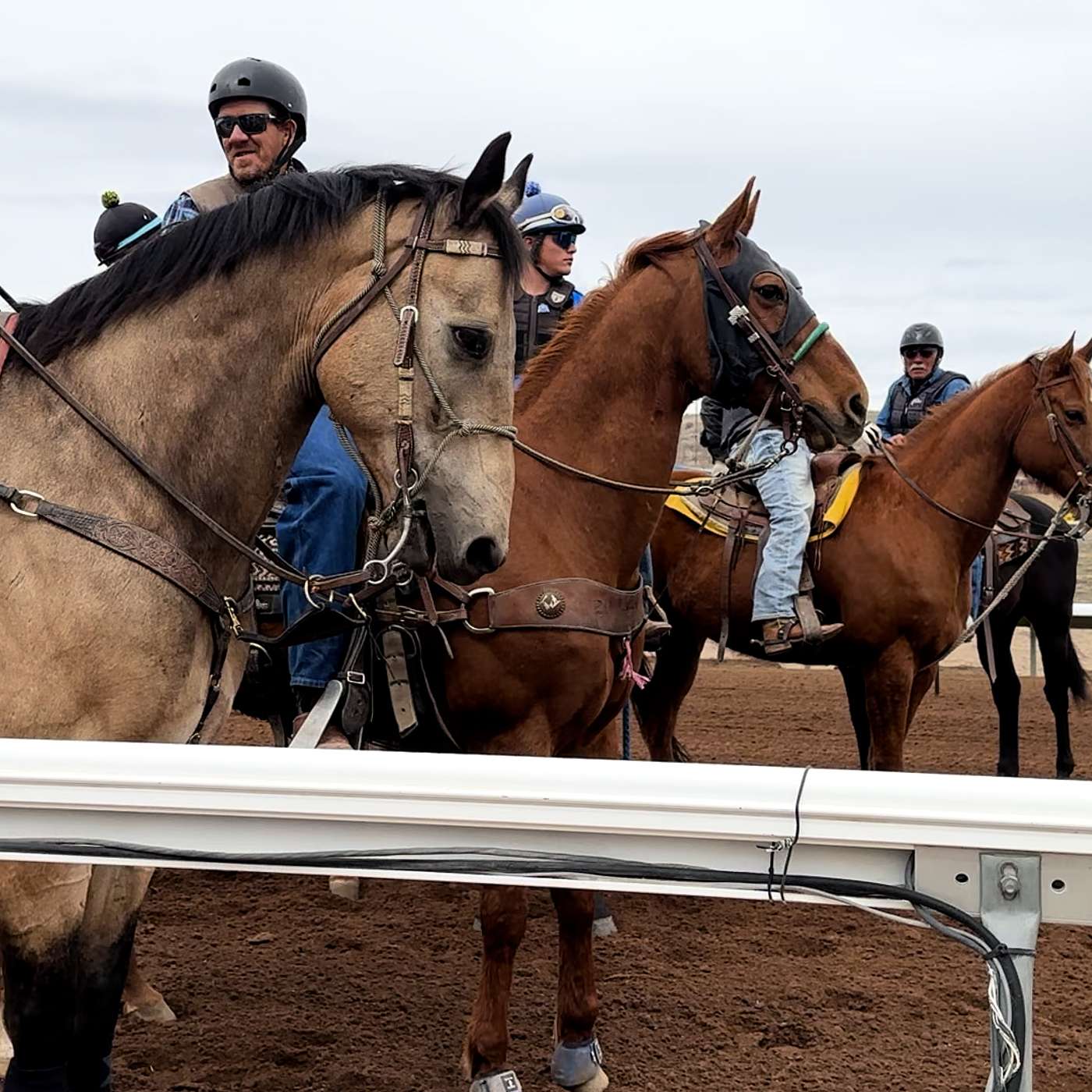 SunRay Park and Casino Petitions to Leave Farmington episode artwork
