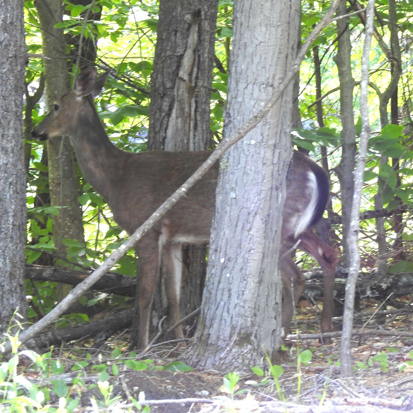 NATURE PROVIDES SIGNS