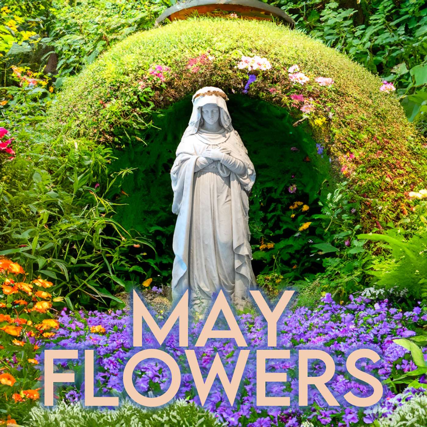 Season 6 Episode 96 - May Flowers episode artwork