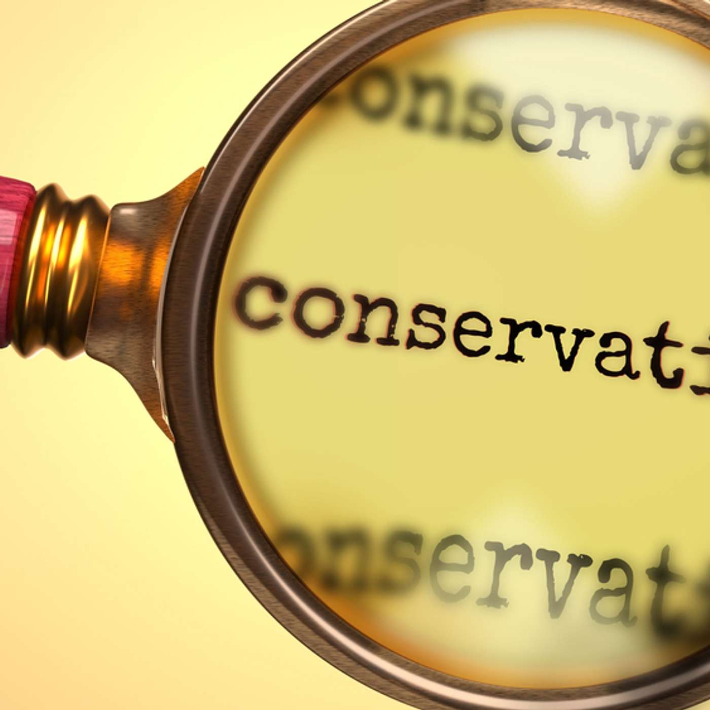 The Mirror, the Window and the Anchor: A Conservative Stand The Mirror, the Window and the Anchor: A Conservative Stand