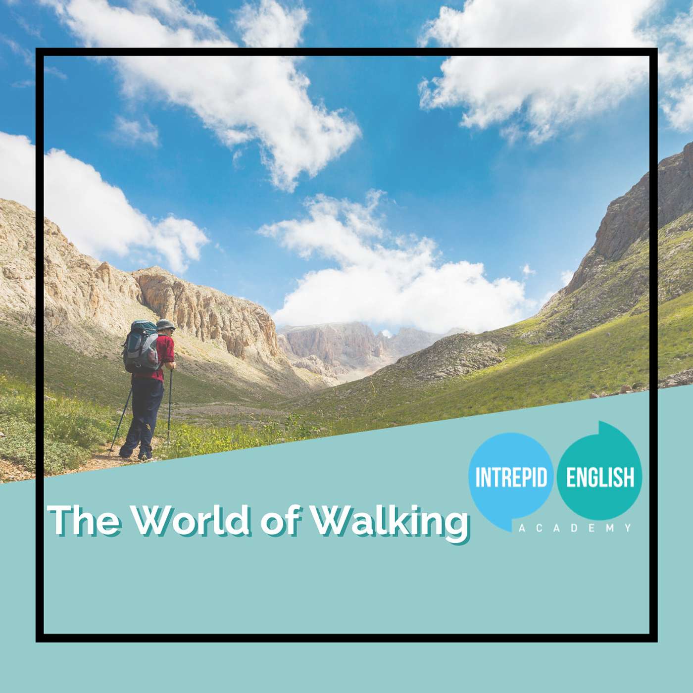 The World of Walking