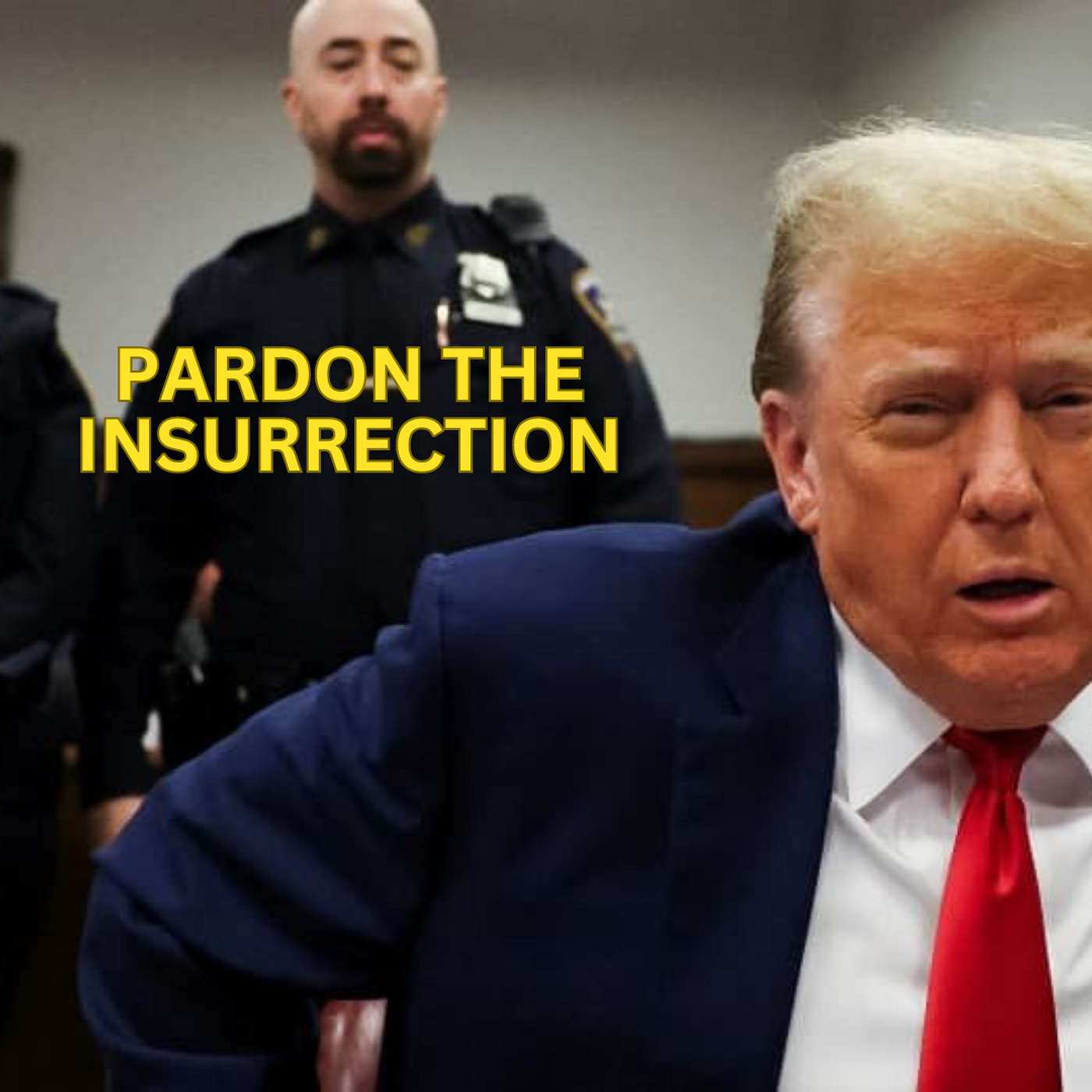 Pardon The Insurrection
