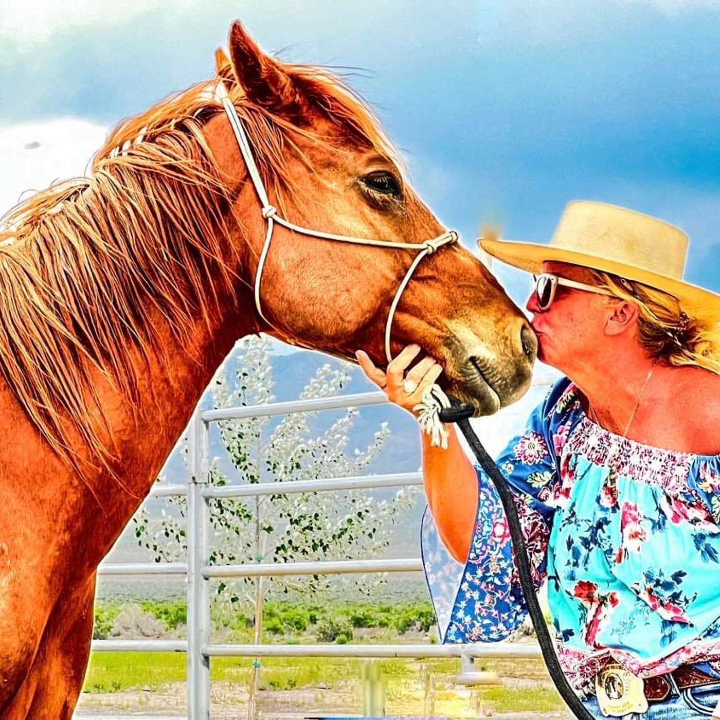 Reinforce the Horse
