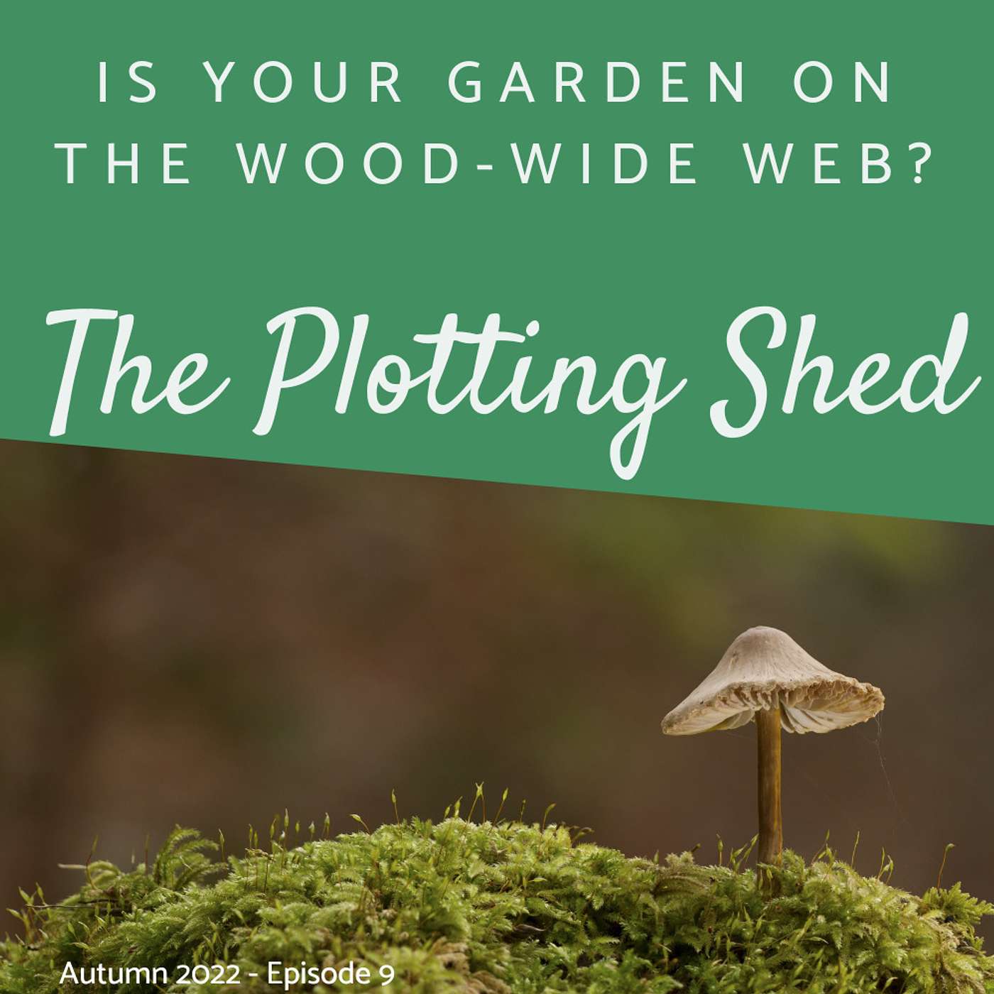 How your garden can tap into the Internet of Life for free