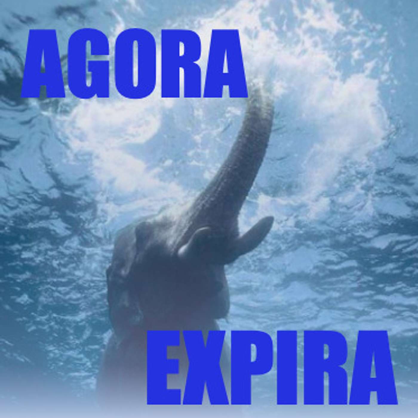 Elefantes na Neblina