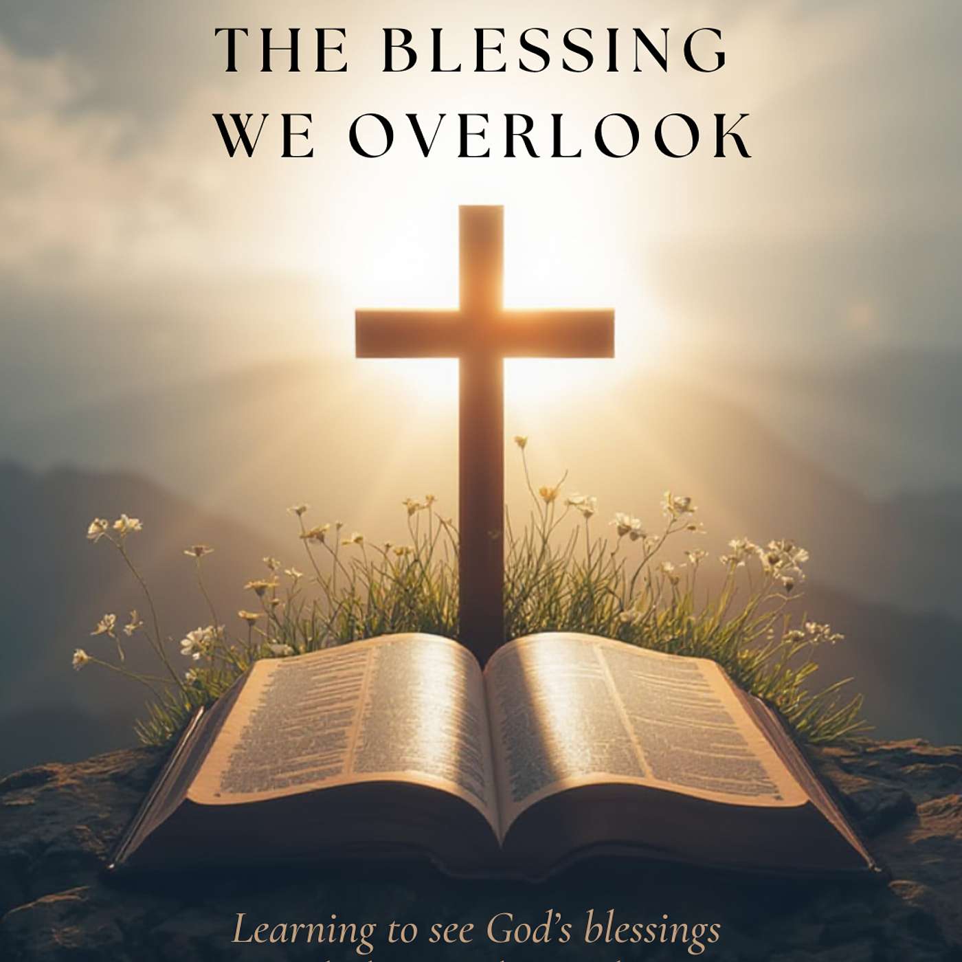 The Blessing We Overlook episode artwork