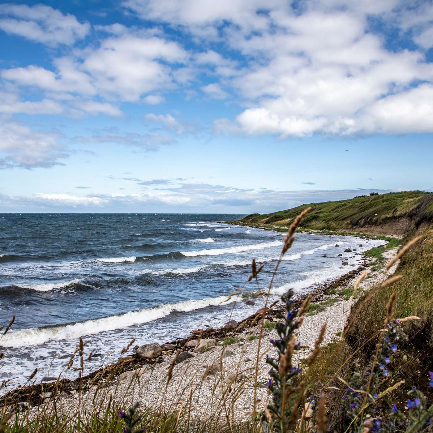 #19: Fremtidens havørred-paradis? - Sejerø Seascape #19: Fremtidens havørred-paradis? - Sejerø Seascape