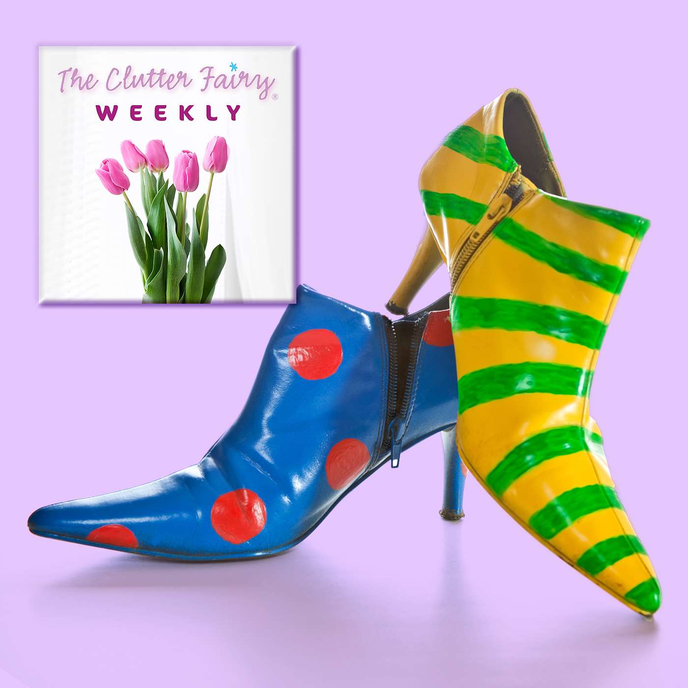 The Clutter Fairy Weekly #54 - A Matter of Style: Organizing from a Variety of Perspectives