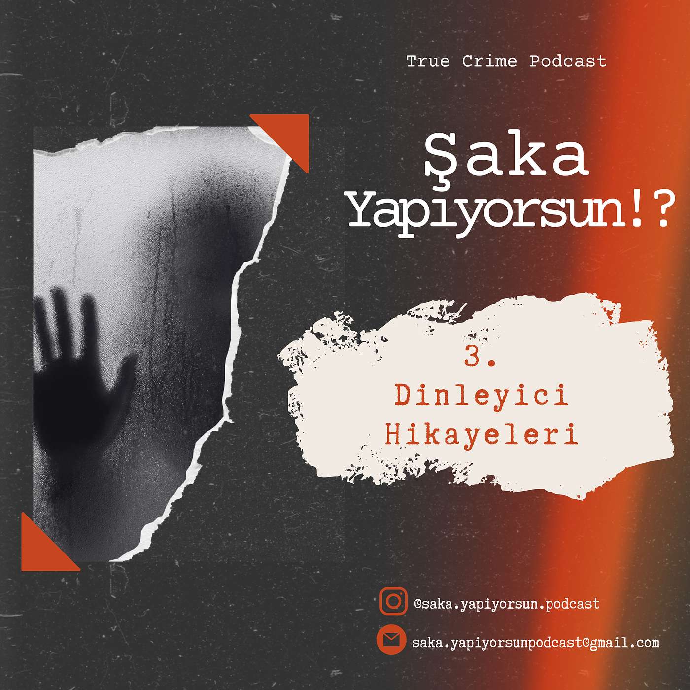 Şaka Yapıyorsun!? :  Gerçek Suç