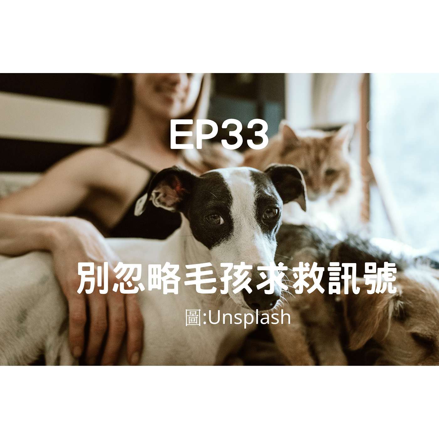 從0到1媒體人X斜槓 EP33 你怎突然走了？毛孩：我發出過很多次求救訊號(柚子貍&安妮動物園) episode artwork