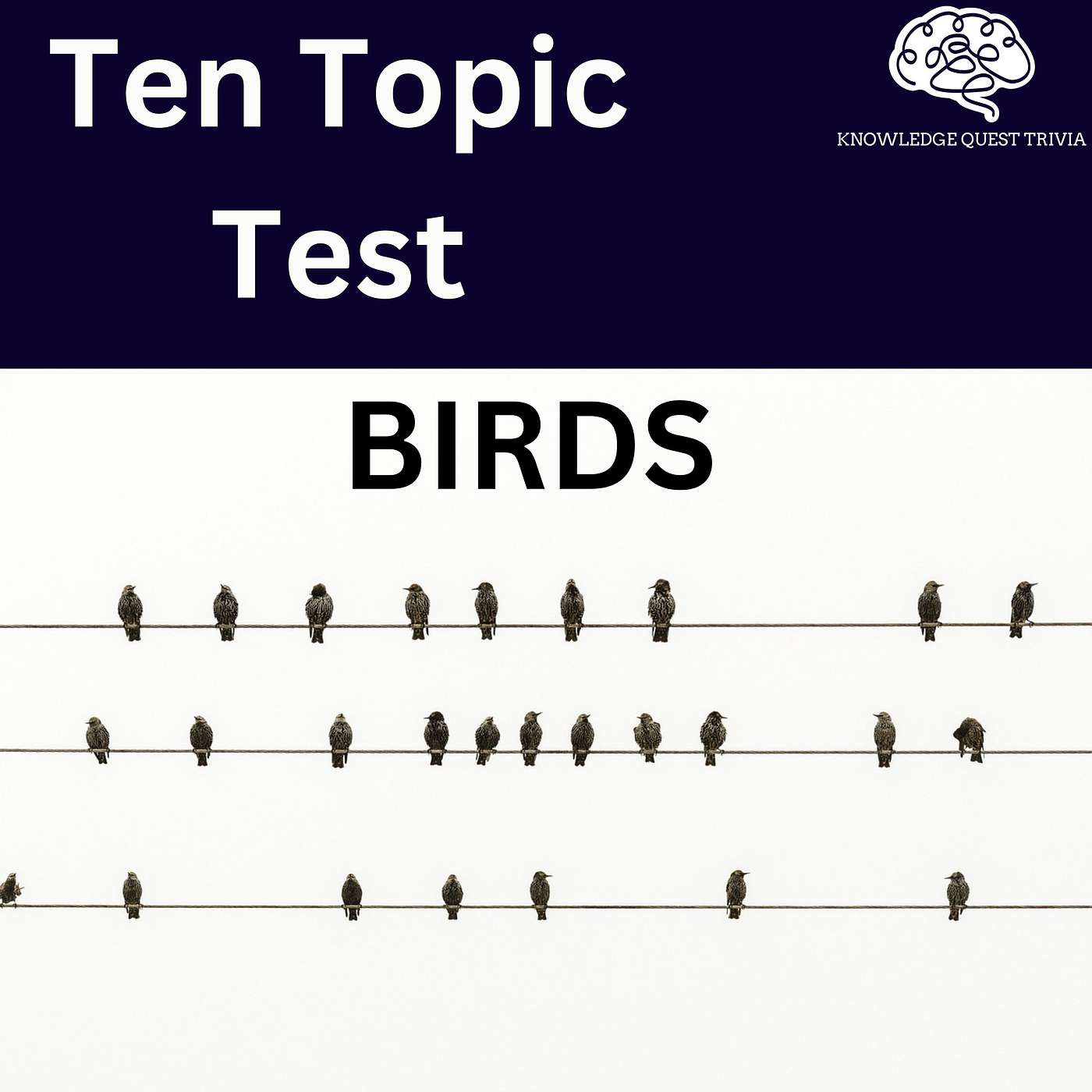 [S2E1] Ten Topic Test: Birds