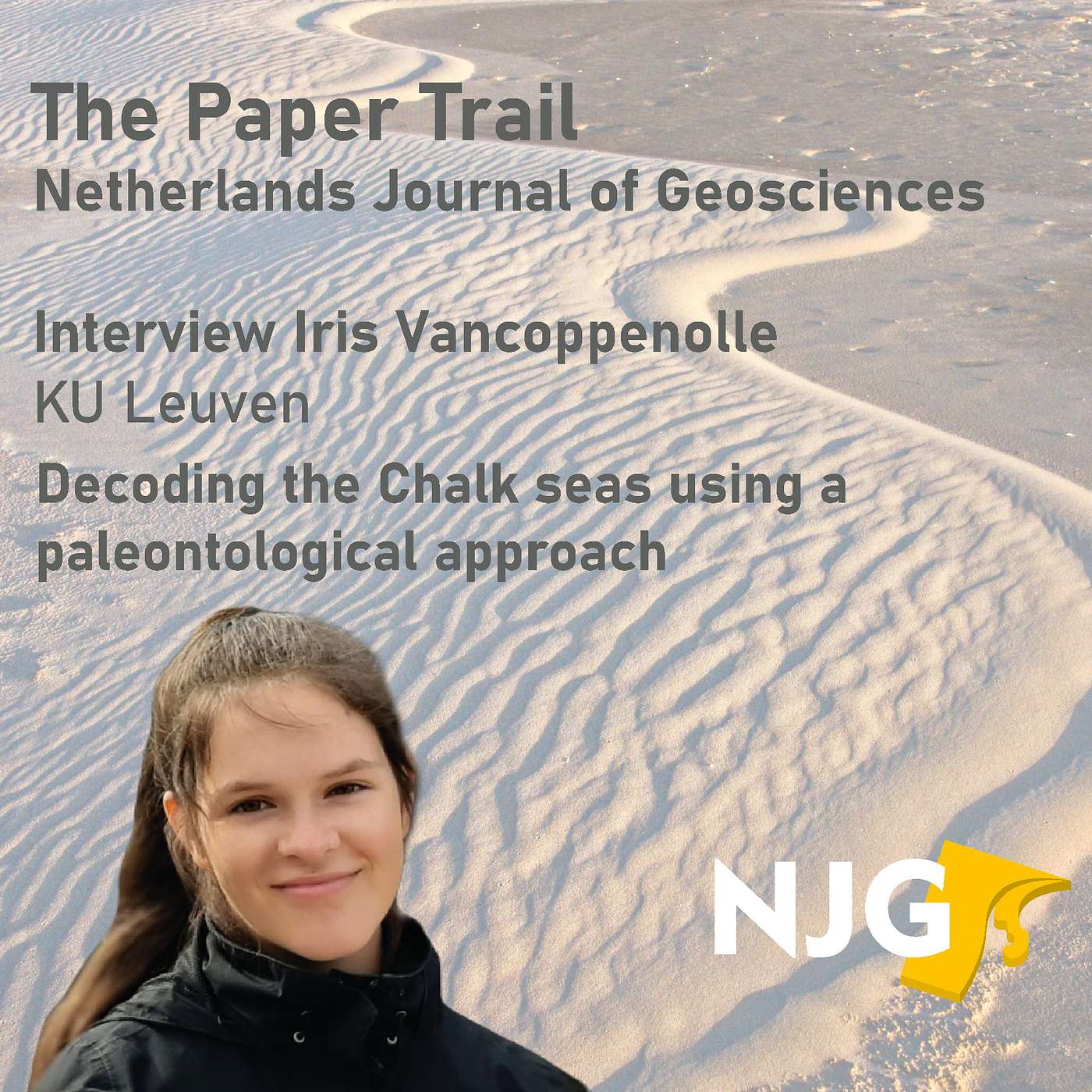 The Paper Trail