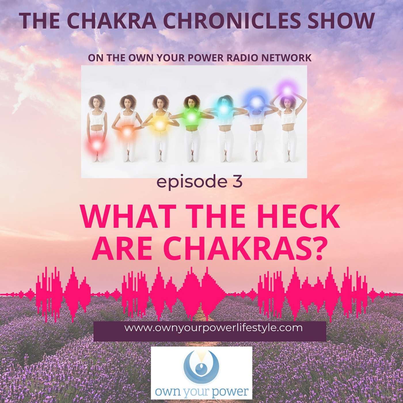 What the Heck Are Chakras? (The Chakra Chronicles Show) Ep. 3