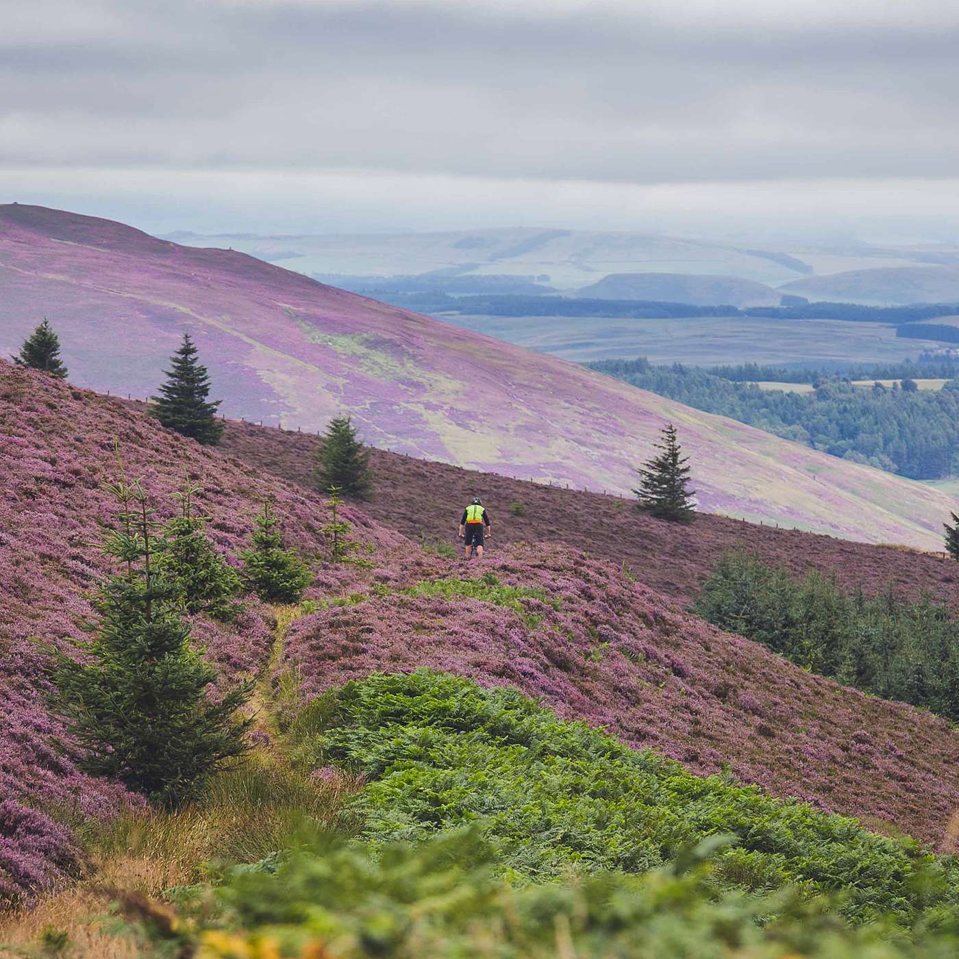 Developing Mountain Biking in Scotland Podcast