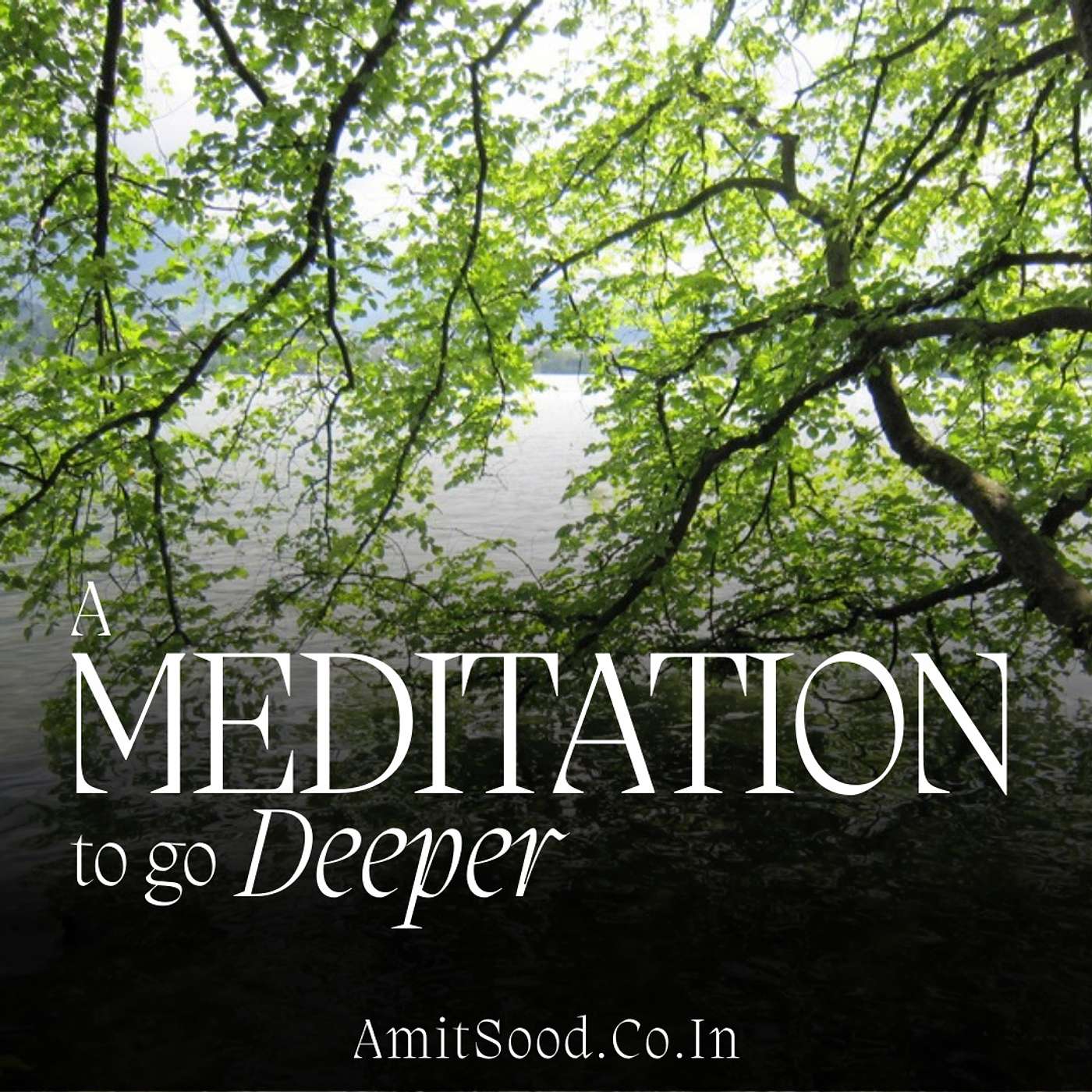 Amit Sood, Coach on Life and Spiritual Fulfilment