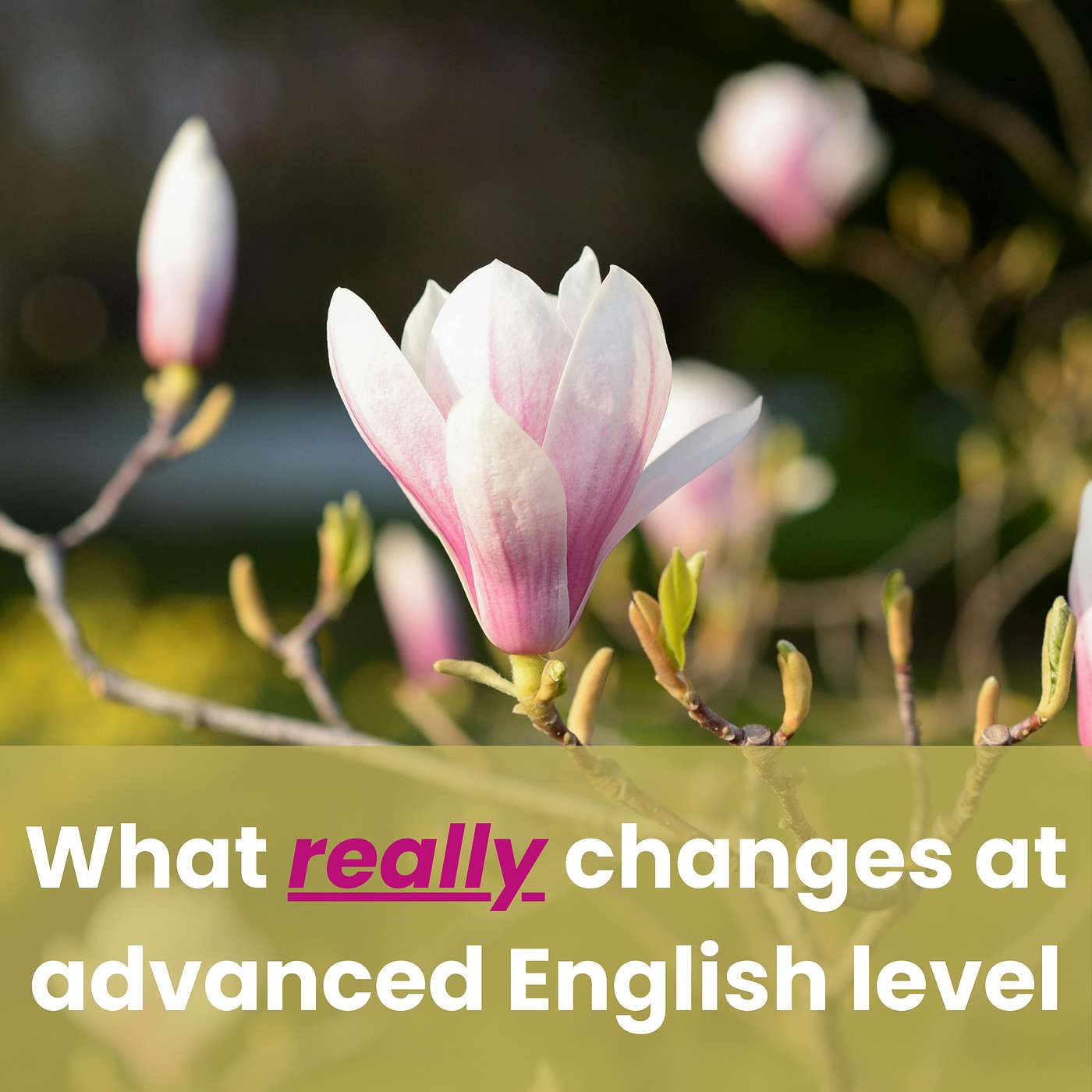 What Really Changes At Advanced English Level