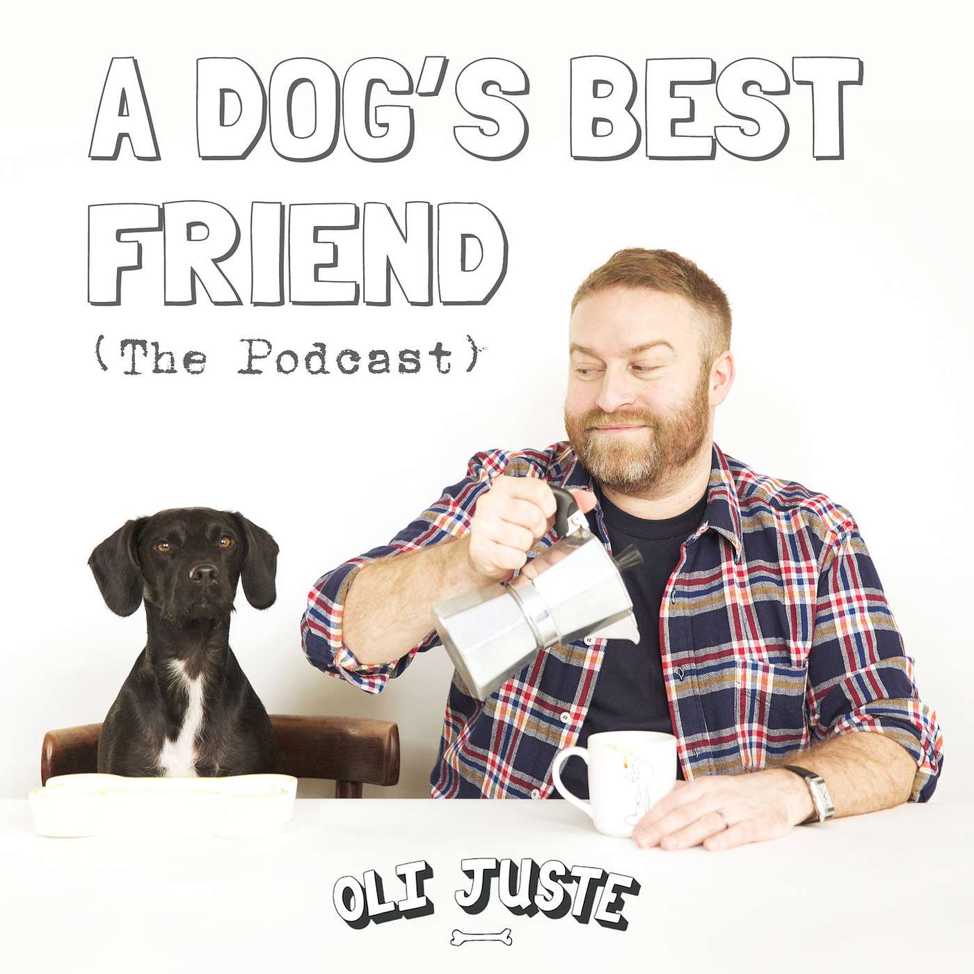 A Dog\'s Best Friend