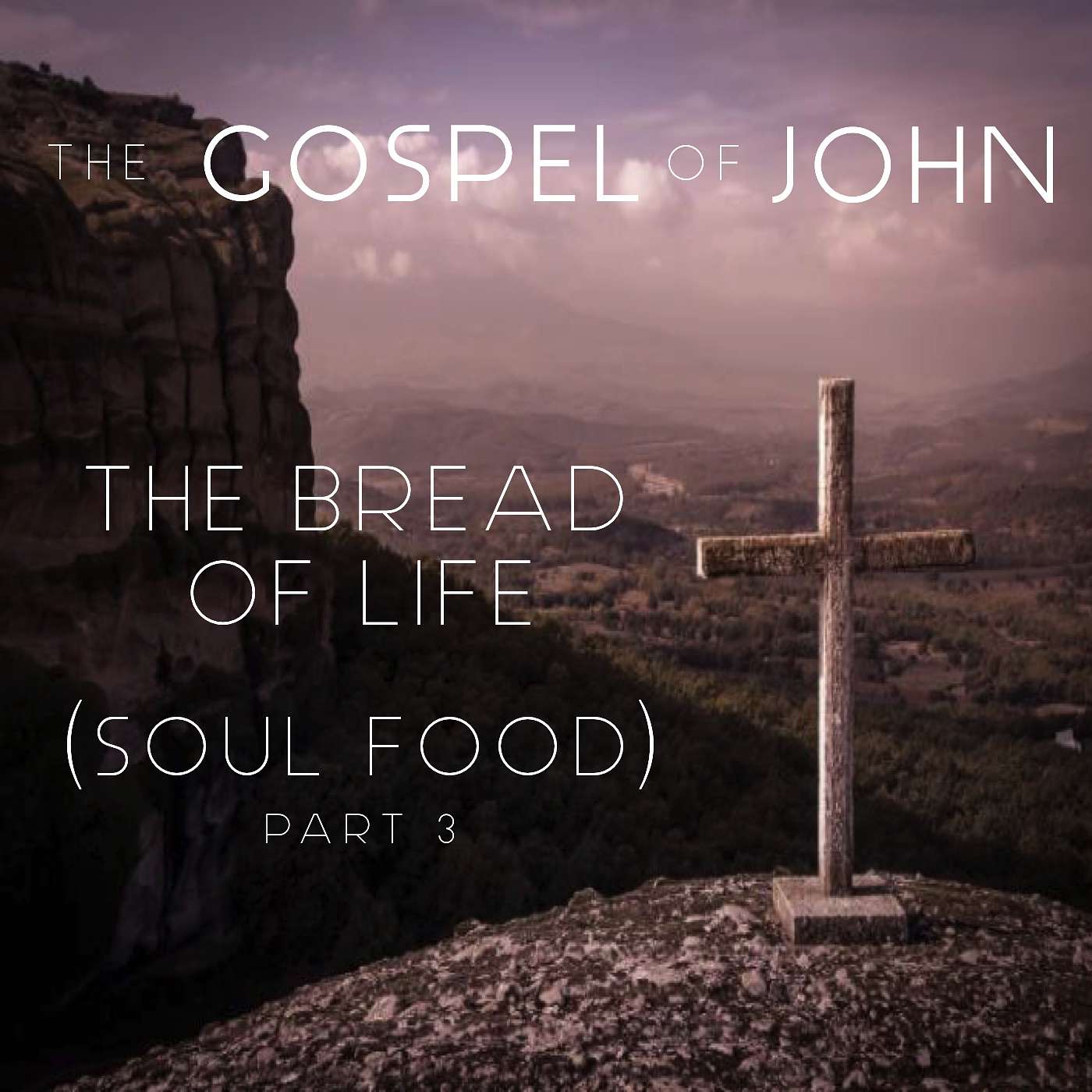 The Gospel Of John - The Bread Of Life (SOUL FOOD) Part 3 episode artwork