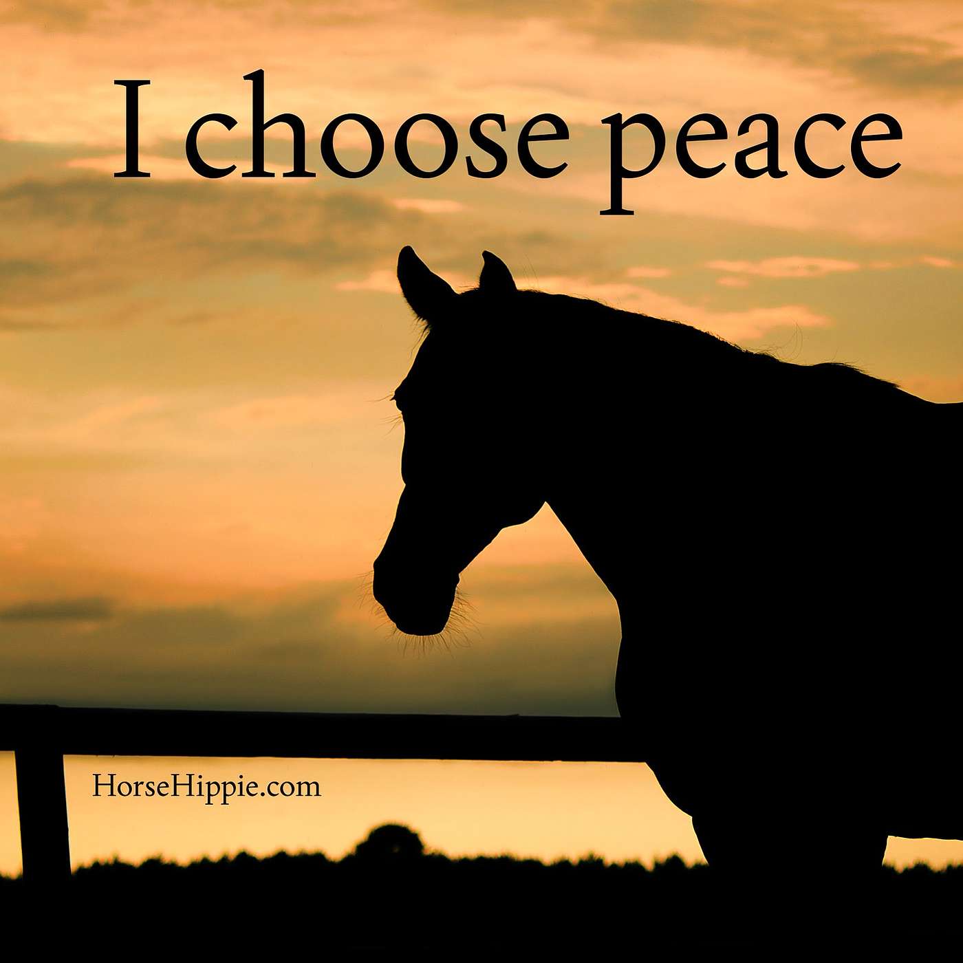 Choose Peace