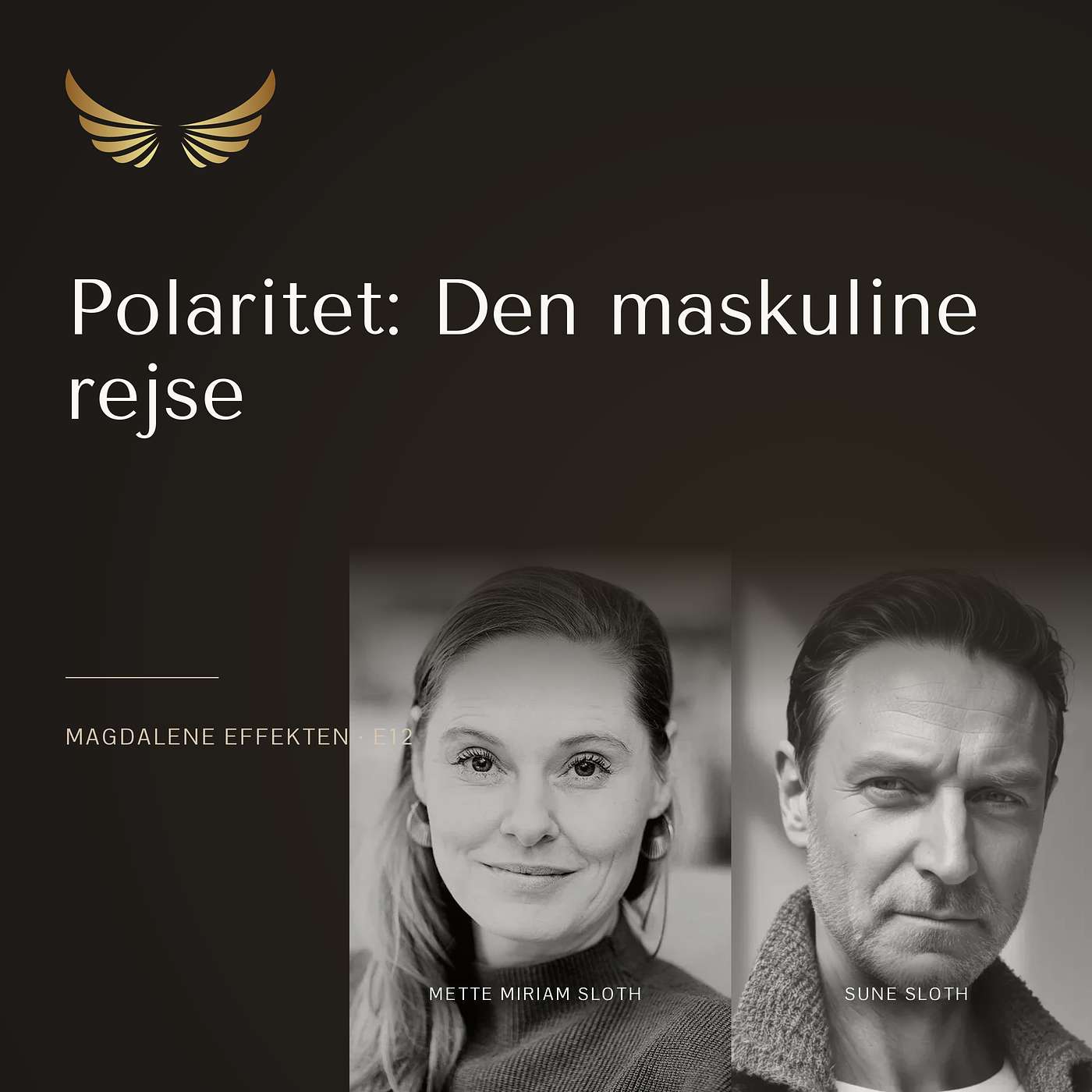 E12: Polaritet: Maskuline Rejse episode artwork