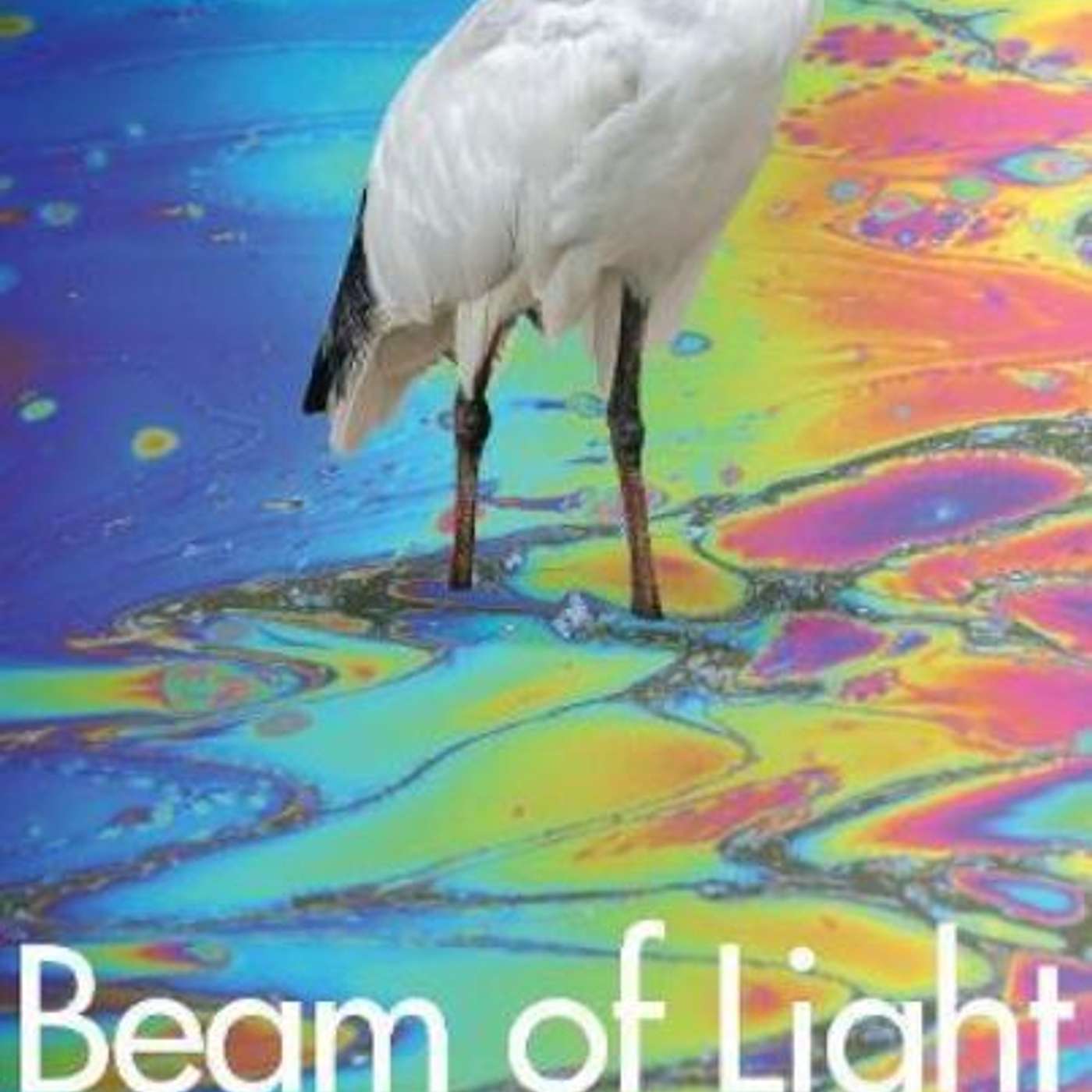 Beam of Light: Stories, author John Kinsella