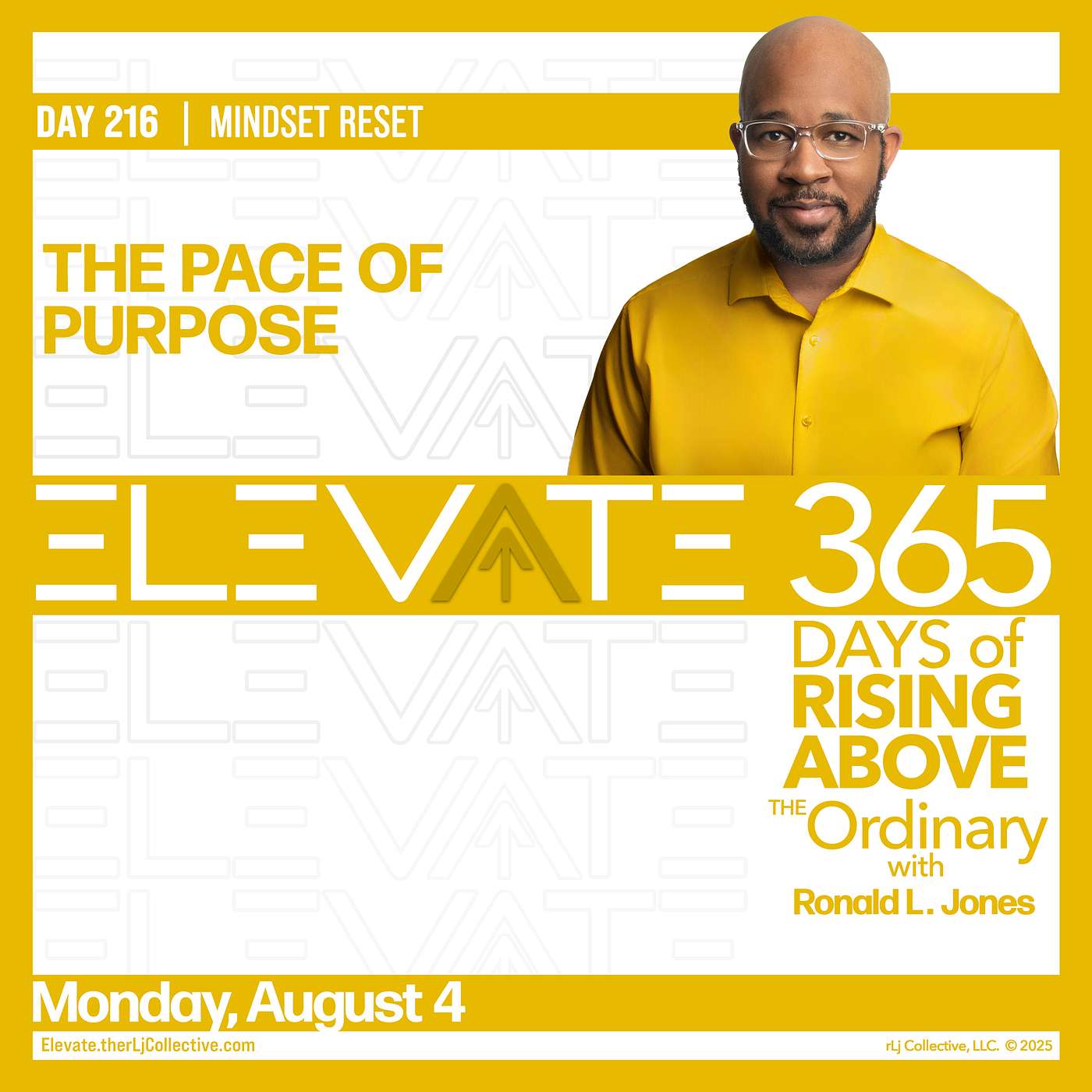 Day 216: The Pace of Purpose