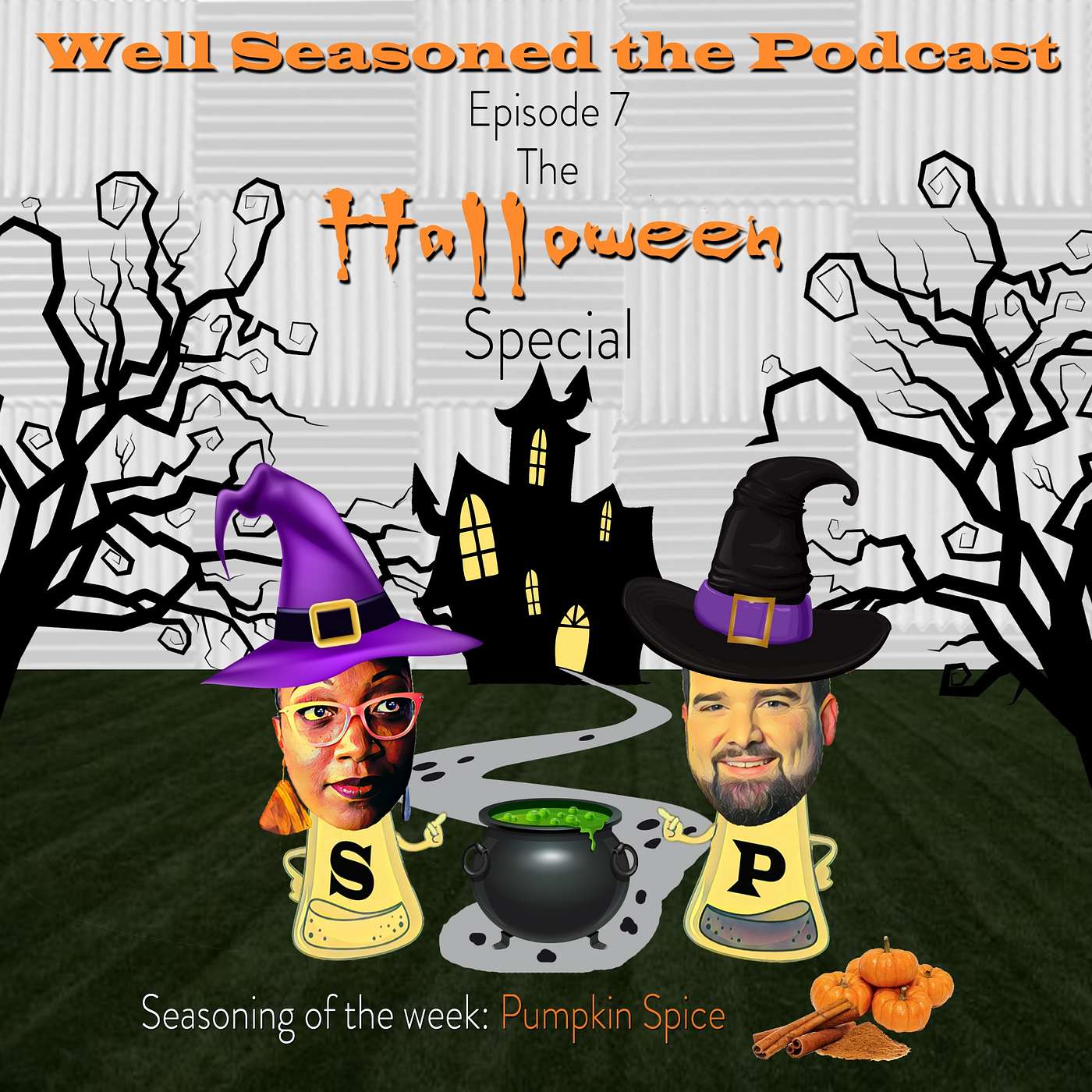 Well Seasoned The Podcast