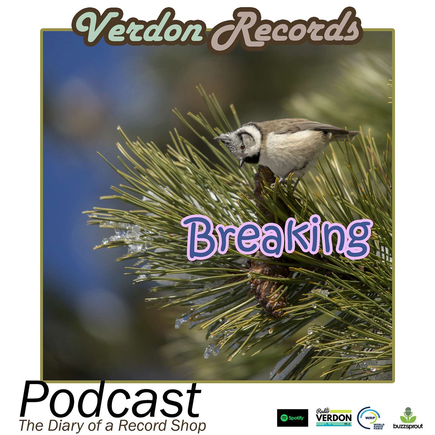 Verdon Records - The Diary of a Record Shop